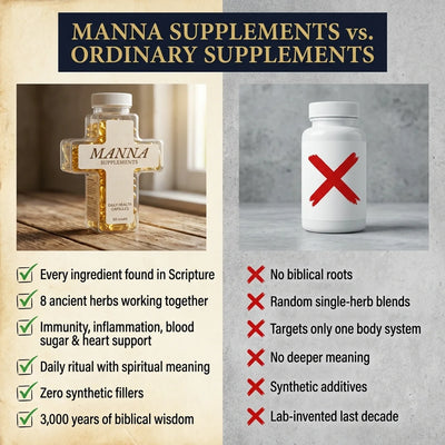 Manna Biblical Supplement